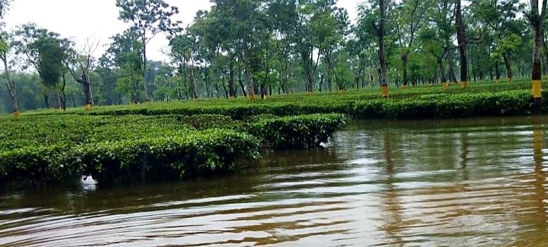North Bengal flood